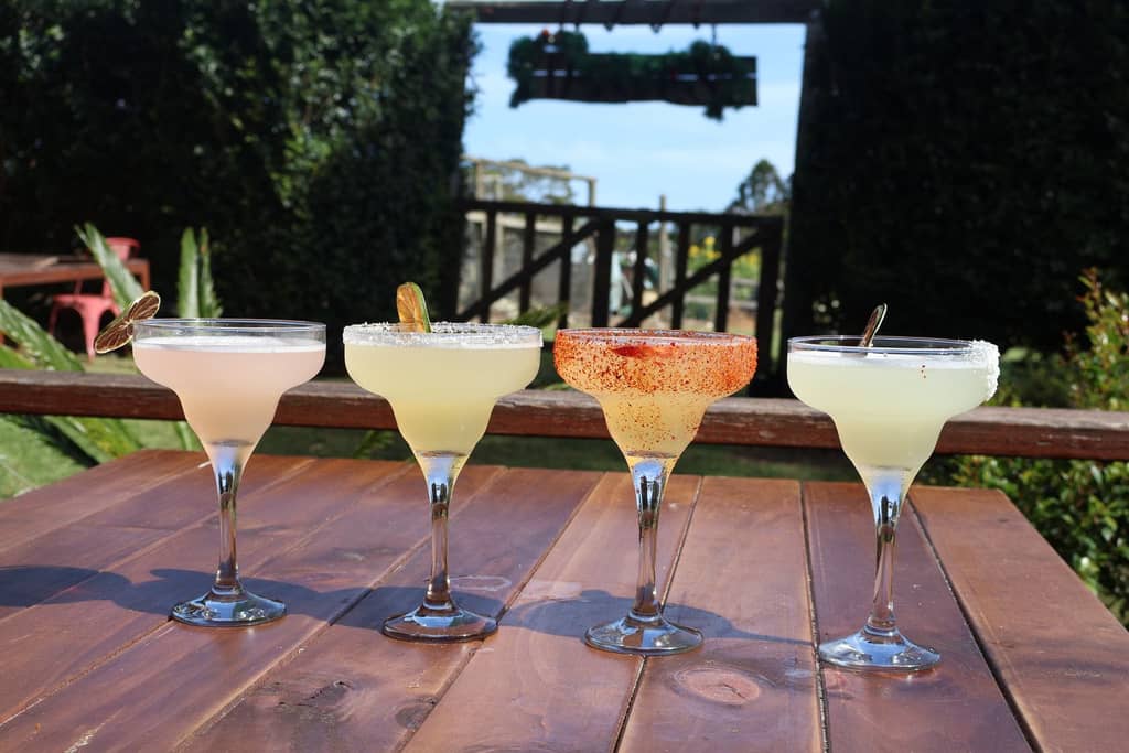 Colourful margaritas lined up at the Harvest Milton bar