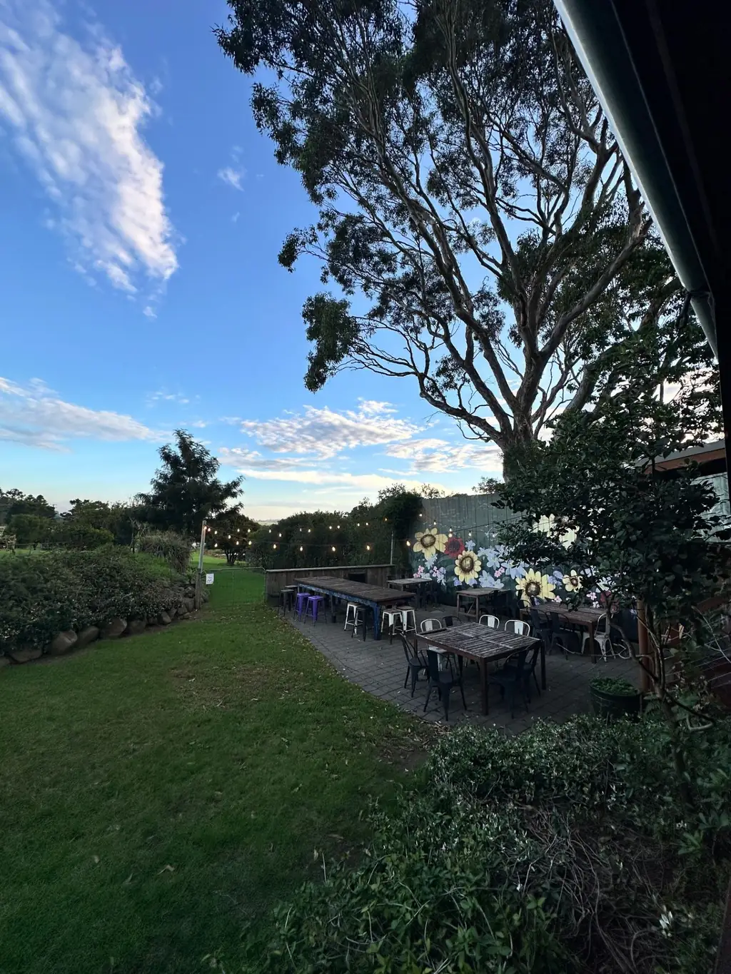 Sunflower mural and fairy lights in the Harvest Milton garden