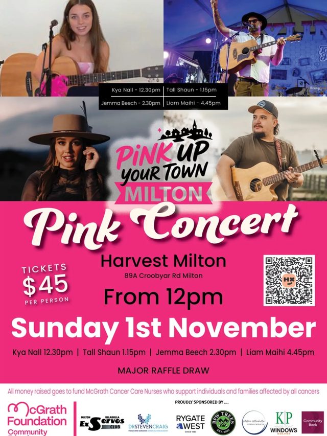 Pink Concert fundraiser poster with four performers